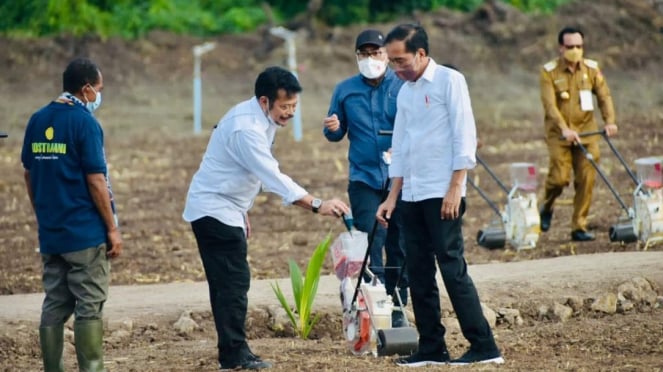 Presiden Jokowi didampingi Mentan SYL meninjau lahan food estate di NTT