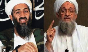 بن لادن viral tiktok